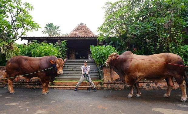 Irfan Hakim/Foto: instagram.com/irfanhakim75 Irfan Hakim