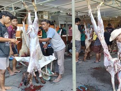 Idul Adha, Hewan Kurban LDII Bali Bertambah Jadi 115 Sapi-244 Kambing