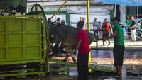 Masjid di Banjarmasin Gunakan Alat Mekanis untuk Sembelih Hewan