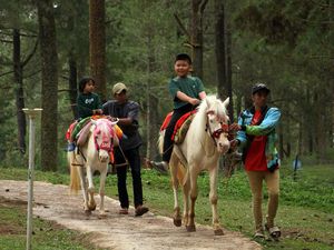 Mengisi Liburan di Objek Wisata Hutan Pinus Malino Gowa