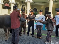 Jaga Tradisi Sunan Kudus, Pemkab Serahkan 5 Kerbau Kurban