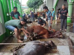 Waktu Penyembelihan Kurban Tanggal Berapa? Ini Ketentuannya