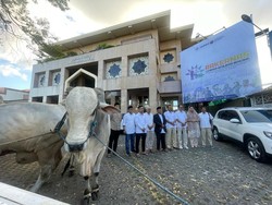 Prabowo Salurkan Puluhan Hewan Kurban ke Ponpes-Ormas Islam di Jatim