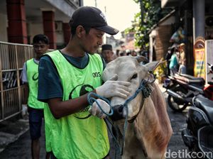 BPS: Tren Inflasi Idul Adha Tahun Ini Paling Rendah Sejak 2019