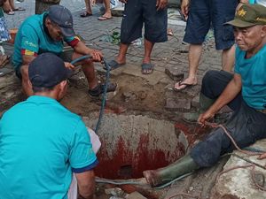 Sapi Kurban Kota Malang Lepas saat Akan Disembelih Lalu Terperosok Lubang Sapi Kurban Kota Malang Lepas saat Akan Disembelih Lalu Terperosok Lubang