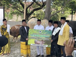 Airlangga Hartarto Sumbang Sapi Kurban 1,2 Ton ke MUI Pusat