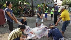 Umat Muslim di Bekasi Laksanakan Pemotongan Hewan Kurban