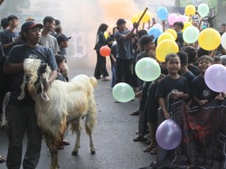 Berapa Umur Minimal Kambing yang Bisa untuk Kurban?