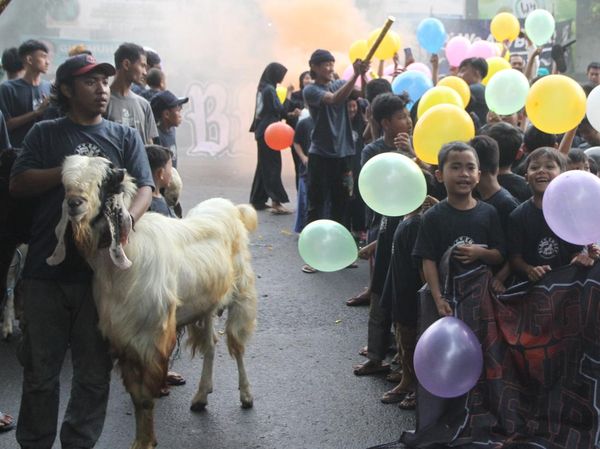 Unik, Tradisi Pawai Hewan Kurban di Malang