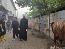 Via Vallen dan Suami Kurban 5 Sapi dan 12 Kambing di Sidoarjo