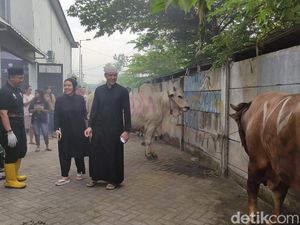 Via Vallen dan Suami Kurban 5 Sapi dan 12 Kambing di Sidoarjo Via Vallen dan Suami Kurban 5 Sapi dan 12 Kambing di Sidoarjo