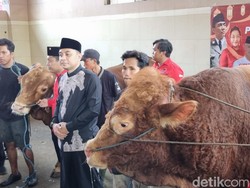 Wali Kota Surabaya Eri Cahyadi Kurban 18 Ekor Sapi