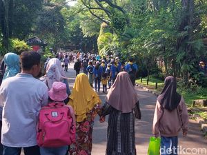 Libur Idul Adha, Warga Ramai-ramai Kunjungi Taman Margasatwa Ragunan