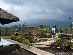 Serunya Liburan Sambil Bertani di Garut Serasa Kebun Sendiri