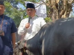 Ariza Ungkap Prabowo Kurban 30 Sapi di DKI: Jaga Keikhlasan dan Persatuan