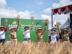 Petani di Wonogiri Panen 200 Ton Gabah Hasil Digitalisasi Pertanian Petani di Wonogiri Panen 200 Ton Gabah Hasil Digitalisasi Pertanian
