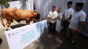 BSI Salurkan Ribuan Hewan Kurban ke Seluruh Indonesia
