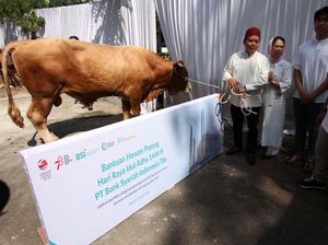 BSI Salurkan Ribuan Hewan Kurban ke Seluruh Indonesia BSI Salurkan Ribuan Hewan Kurban ke Seluruh Indonesia