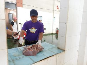 Petugas Temukan Cacing Hati Saat Sembelih Sapi di RPH Blitar Petugas Temukan Cacing Hati Saat Sembelih Sapi di RPH Blitar