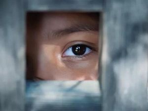 Mahasiswa Magang RI di Jepang Dipaksa Kerja 14 Jam Sehari, Tanpa Libur