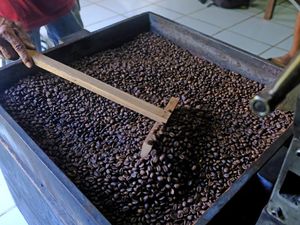 Mau Sangrai Kopi, Cukup Bayar Rp 10 Ribu/Kg