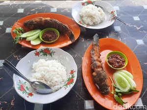 Mencicip Ikan Betutu Goreng Khas Waduk Gembong Pati Mencicip Ikan Betutu Goreng Khas Waduk Gembong Pati