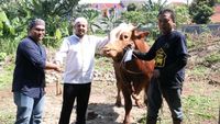 PLN Icon Plus Sebar 1.100 Paket Daging Kurban