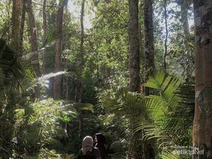 Di Balik Indahnya Gunung Kerinci di Jambi Ternyata Banyak Mitos Horor