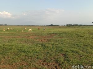 Manfaat Lain Waduk Cipancuh Bagi Kehidupan Warga Indramayu Manfaat Lain Waduk Cipancuh Bagi Kehidupan Warga Indramayu