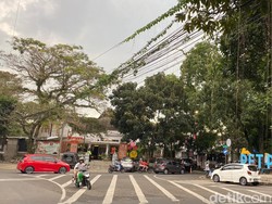 Bahaya! Tanaman Rambat Menjalar di Kabel Jalan Cilaki