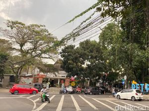 Bahaya! Tanaman Rambat Menjalar di Kabel Jalan Cilaki Bahaya! Tanaman Rambat Menjalar di Kabel Jalan Cilaki