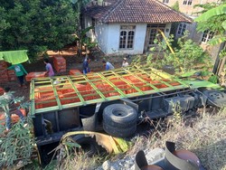 Truk Muatan Ayam Terguling di Jalan Wonosari-Jogja