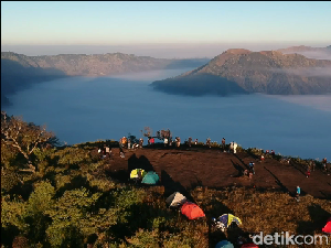 B29 Wisata Andalan Lumajang, Pesona Negeri di Atas Awan Bikin Susah Move On