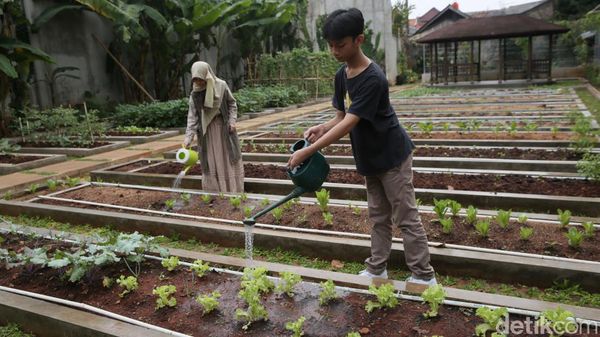 Aktivitas Homeschooling Mengasyikan di Sekolah Merdeka Belajar