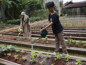 Aktivitas Homeschooling Mengasyikan di Sekolah Merdeka Belajar Aktivitas Homeschooling Mengasyikan di Sekolah Merdeka Belajar