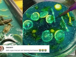 Nyeleneh! Hidangan Ayam Blue Lemon Ini Mirip Dessert