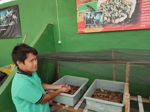 Banyuwangi Hijau, Usaha Sekolah Olah Sampah Berkelanjutan dan Mandiri Banyuwangi Hijau, Usaha Sekolah Olah Sampah Berkelanjutan dan Mandiri