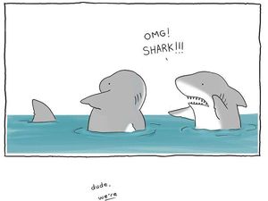 Kalau Bisa Ngomong, Mungkin Percakapan Antar Hewan Seperti Ini