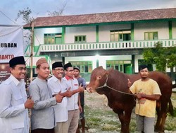 Kurban Ratusan Hewan, Prabowo Salurkan ke Gus Mus hingga Habib Luthfi