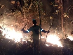 Lahan-Semak di Kawasan Hutan Gunung Pegat Klaten Terbakar