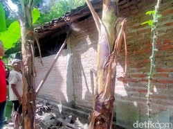 BPBD Klaten Catat 5 Bangunan Terdampak Gempa Bantul, 1 Rumah Nyaris Ambruk