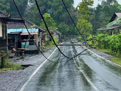 9 Tiang PLN-Provider Internet di Karangasem Tumbang, Lalu Lintas Tersendat