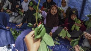 Nostalgia Kreasi Kalung dan Gelang dari Daun Singkong