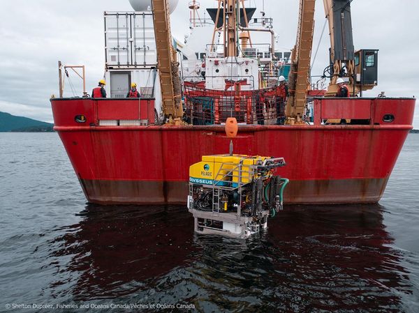 Wujud Kendaraan Robot Canggih Penemu Puing Kapal Selam Titan