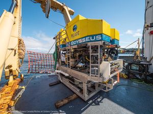 Nih! Kendaraan Canggih yang Evakuasi Bangkal Kapal Selam Titan