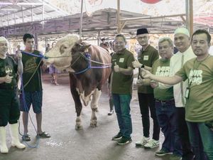 Pegadaian Salurkan 774 Hewan Kurban ke Seluruh Indonesia Pegadaian Salurkan 774 Hewan Kurban ke Seluruh Indonesia