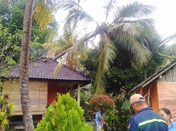 Hujan Deras, Senderan Jebol-Rumah Warga Tertimpa Pohon Tumbang