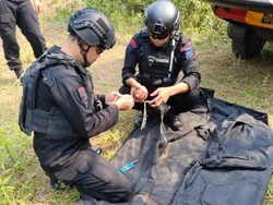 Warga Bogor Temukan Ranjau Darat Aktif saat Sedang Tanam Pohon Pisang