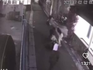 Viral 2 Kelompok Cewek Adu Jotos di Tangsel, Polisi Turun Tangan