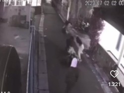 Viral 2 Kelompok Cewek Adu Jotos di Tangsel, Polisi Turun Tangan